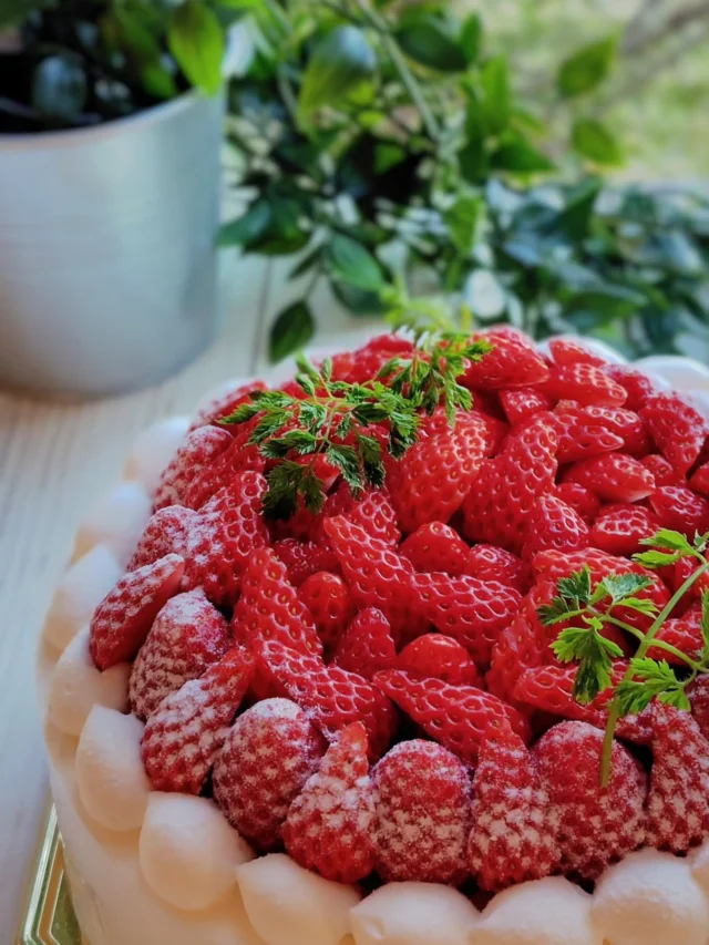 【乳不使用デコレーション終了しました】

裏メニューとしてお作りしていた
乳不使用デコレーションを終了いたします

卵不使用は今のところ続ける予定ですが、
今年中に終了するか、
履歴のあるお客様のみにするか…。
といったところです

申し訳ありませんが
ご理解いただけると幸いです

ここからは独り言。

モントルになる前の店「ケーキ工房プエオ」
「ナチュラルカフェふくろう」から続けてきた
卵乳不使用デコレーションを終了させるのは
申し訳ない気持ちになりますけれども、

20年近く続けてきた卵乳不使用ケーキ通販店
「ナチュラルケーキふくろう」を
夏頃に閉店させるに伴っての決断です

アレルギーがあっても、
みんなと同じケーキを囲むひとときを
お届けしたい一心で

「モントル」になる際には、通常とは
別の厨房を準備して、続けてきました

おかげさまで、たくさんの笑顔を見て
その度に幸せな気持ちをいただきました

今後とも変わらぬご愛顧を賜りますよう
お願いいたします