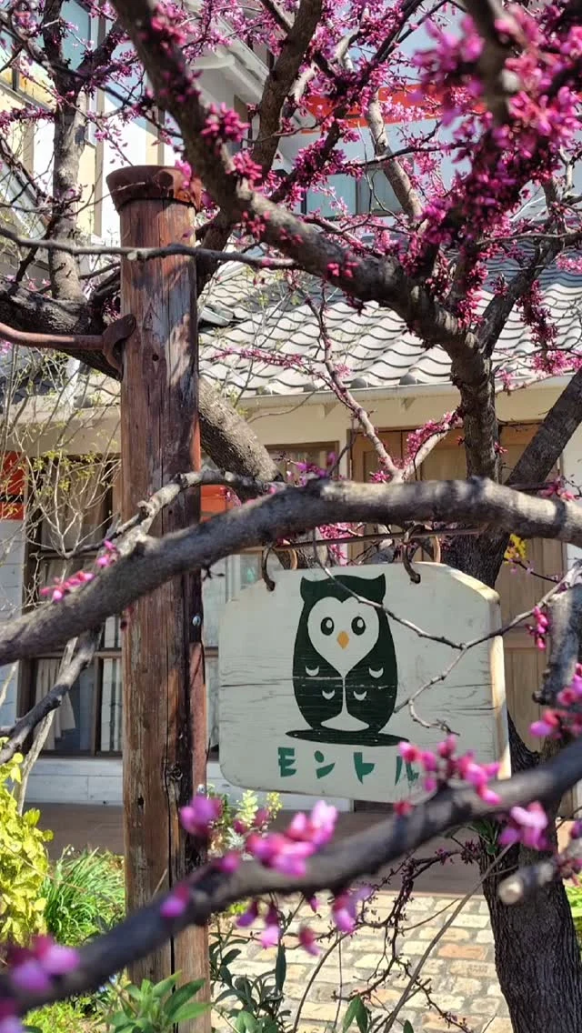 春のお庭のモントル

4月になってお庭の木々たちから
新芽や花が咲きだしました

これからどんどん葉っぱが茂ってきて
6月くらいのお庭が私は好きだなぁ

毎日同じ事を繰り返しているようで
季節は確実に動いているんですよね

来週からティラミスタルトが
抹茶ティラミスに代わります

そして、オペラも抹茶に変わるかも…？

お庭も含めて
どうぞお楽しみに

【あんjoyクーポンご利用について】

当店でもたくさんご利用いただいてます。
デコレーションケーキのお支払いにも
ご利用いただけますが、
お支払い後のキャンセルは不可となります
(クーポンの返金ができないため)

あらかじめご了承ください

【4月のお休み】
6.7日(月火)、13.14(月火)、 
20.21日(月火)、27.28日(月火)

パティスリー  モントル

国道1号線 ニトリ安城店道向かい

tell 0566-97-5031
open 10:30-19:00

カフェスペースの時間貸し
も有ります

詳しくはお問い合わせください

close  月火

Instagram:@montre.anjo